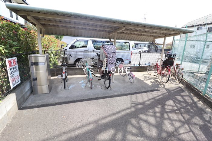 エバーグリーン その他12