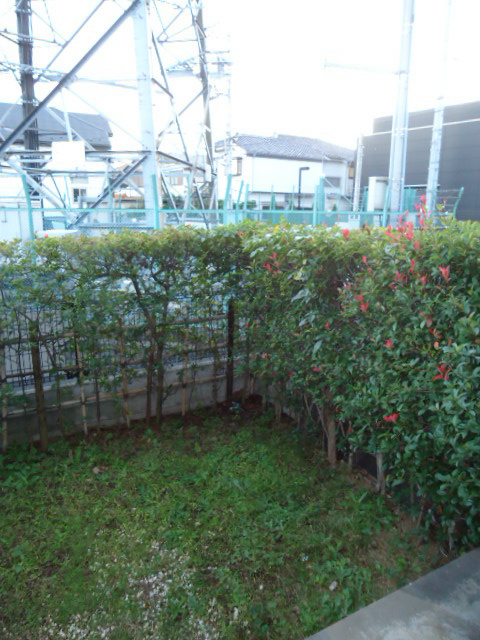 エバーグリーン その他13