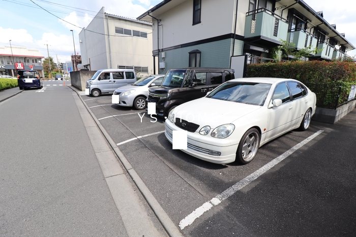 エバーグリーン その他14