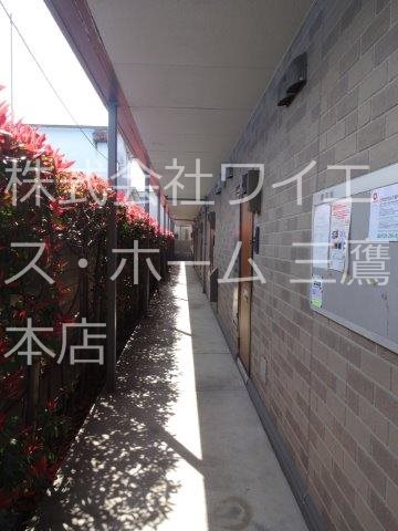 プリムローズ その他1