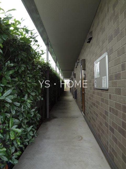 プリムローズ その他13