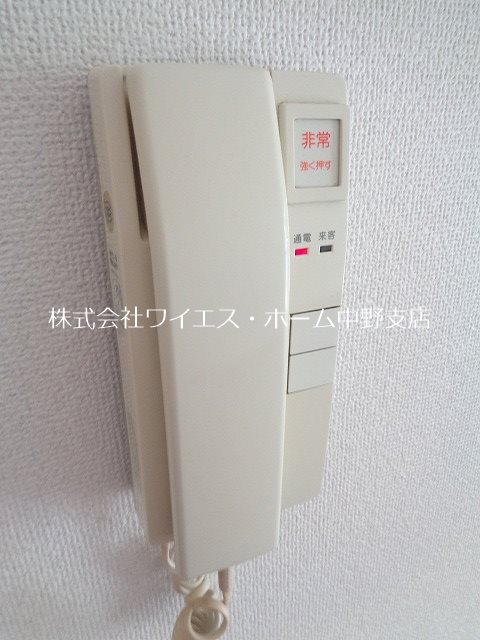 コスモフラワー  その他4