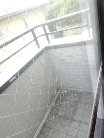 コスモ    ベランダ