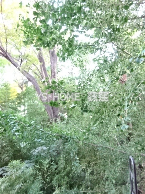 ヴェルドミール荻窪 その他9