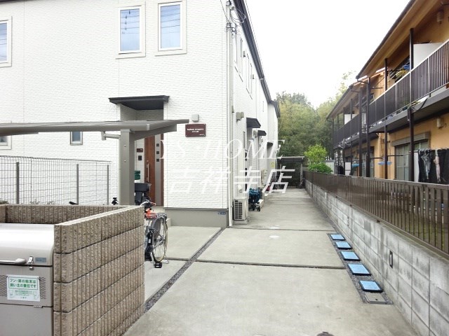 LupinusSengawa  その他5