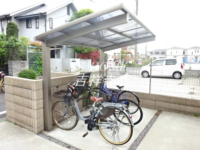 LupinusSengawa  その他6