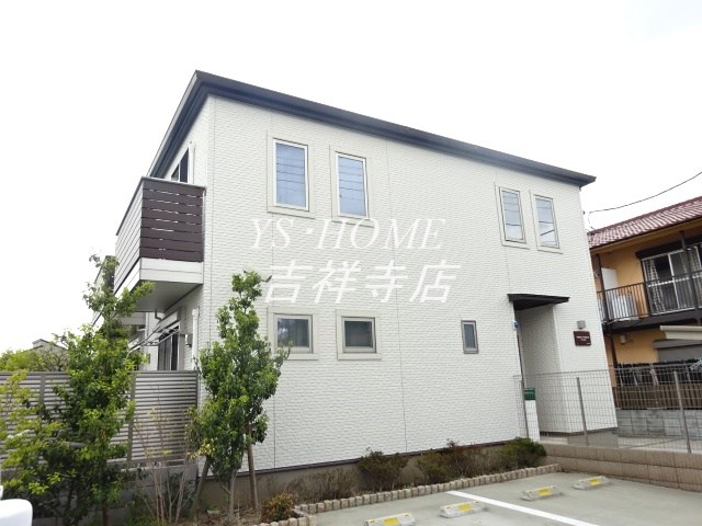 LupinusSengawa  その他9