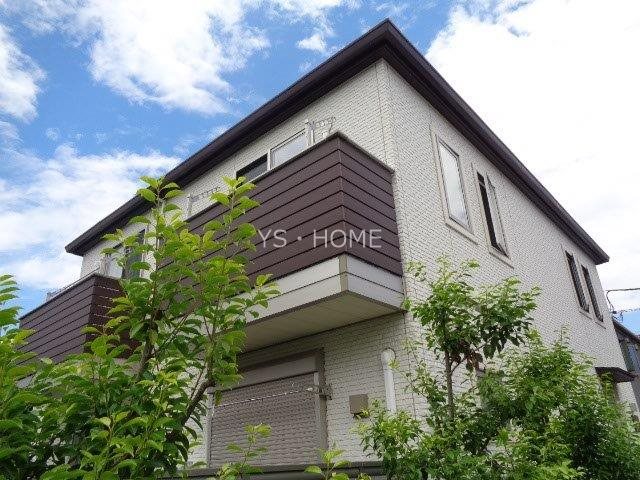 Lupinus Sengawa 外観