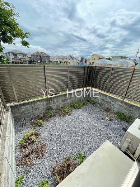 Lupinus Sengawa  その他1