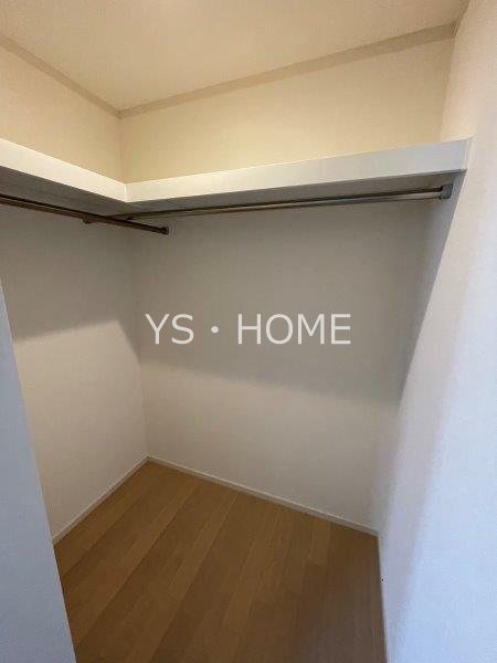 Lupinus Sengawa  その他2