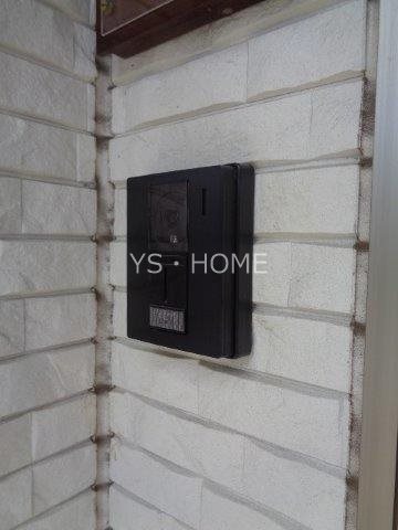 Lupinus Sengawa  その他3