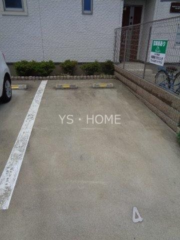 Lupinus Sengawa  その他4