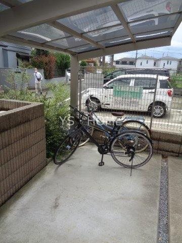 Lupinus Sengawa  その他6