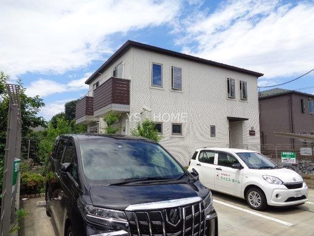 Lupinus Sengawa  その他外観1