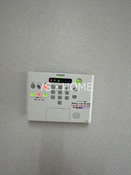 Lupinus Sengawa  その他12