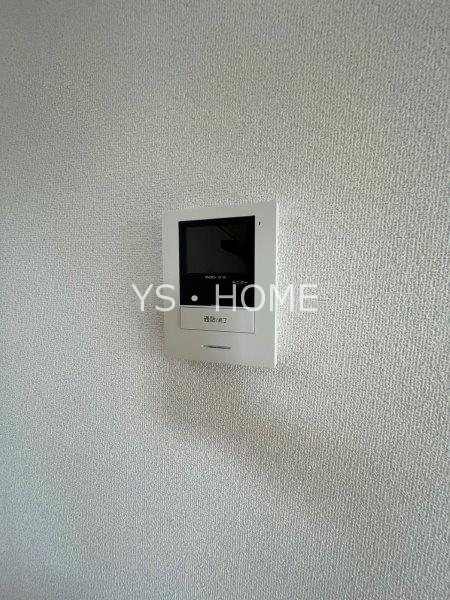 Lupinus Sengawa  その他14