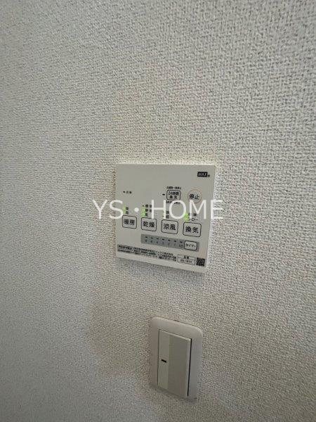 Lupinus Sengawa  その他15