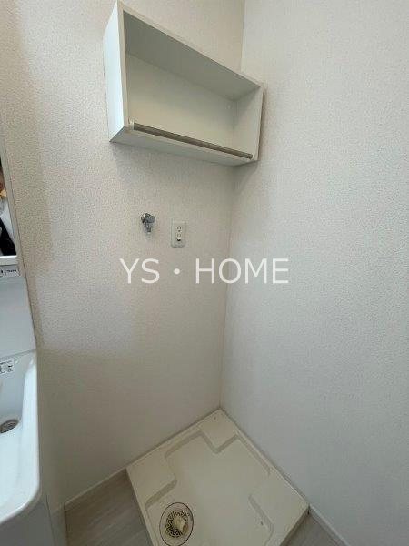 Lupinus Sengawa  その他16