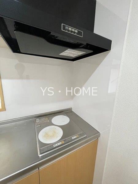 Lupinus Sengawa  その他17