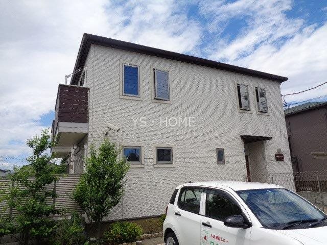 Lupinus Sengawa  その他19