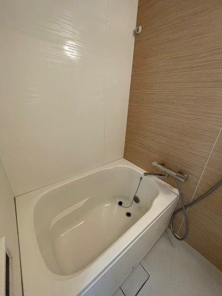 Lupinus Sengawa  風呂画像