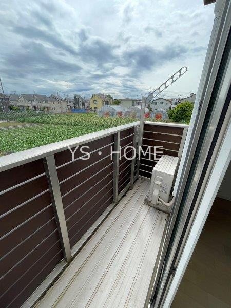 Lupinus Sengawa  ベランダ