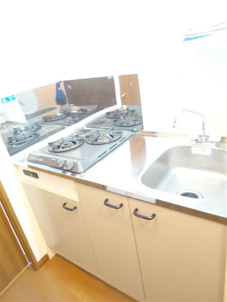 アムールⅡ光風館 その他15