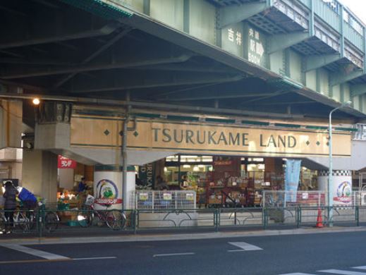 GREEN TERRACE KICHIJOJI   周辺画像3