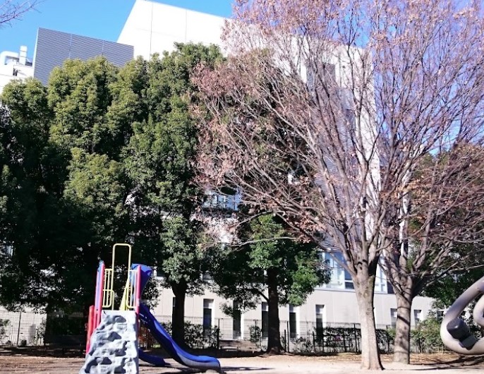 コーポレート小金井梶野通り６号棟 周辺画像2