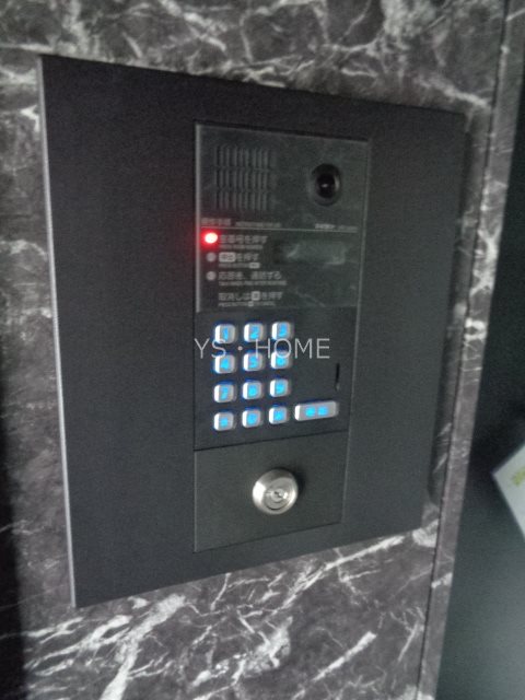 Papillon Sekimae その他3