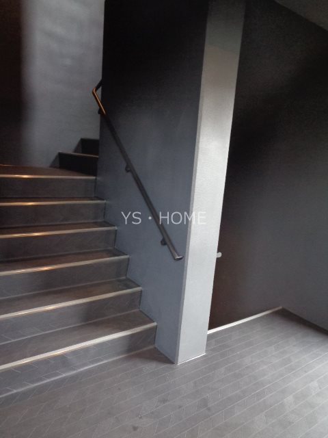 Papillon Sekimae その他8