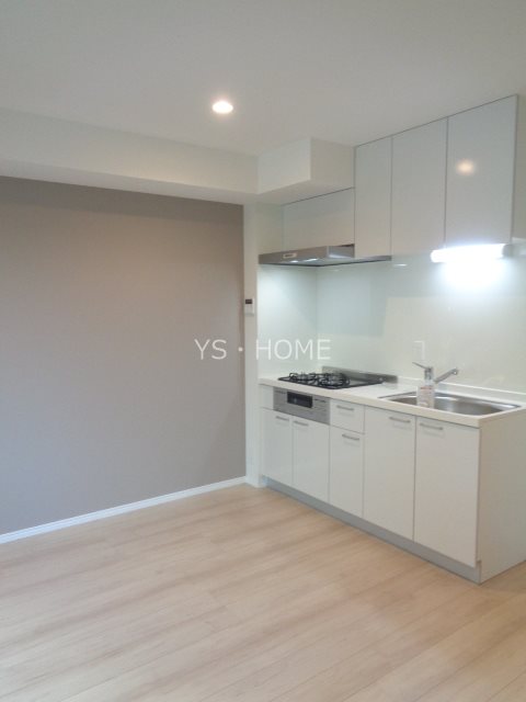 Papillon Sekimae その他28