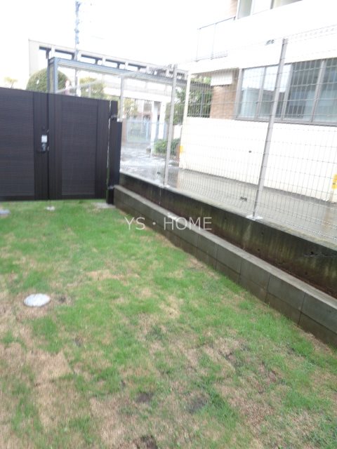 Papillon Sekimae その他36