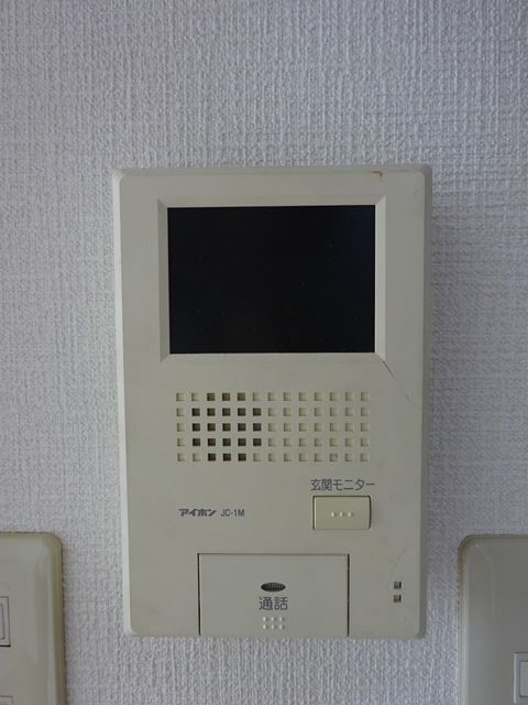 ソワニエ その他2