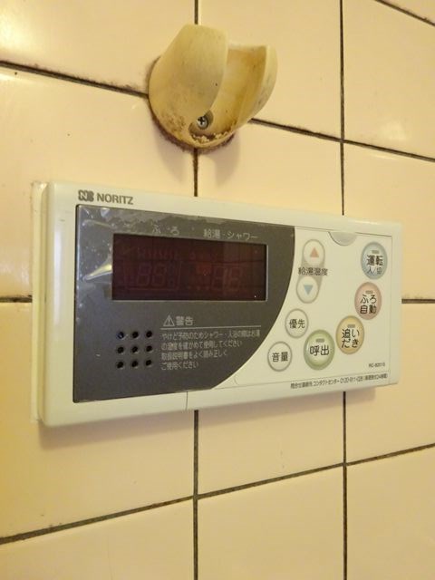 ソワニエ その他19