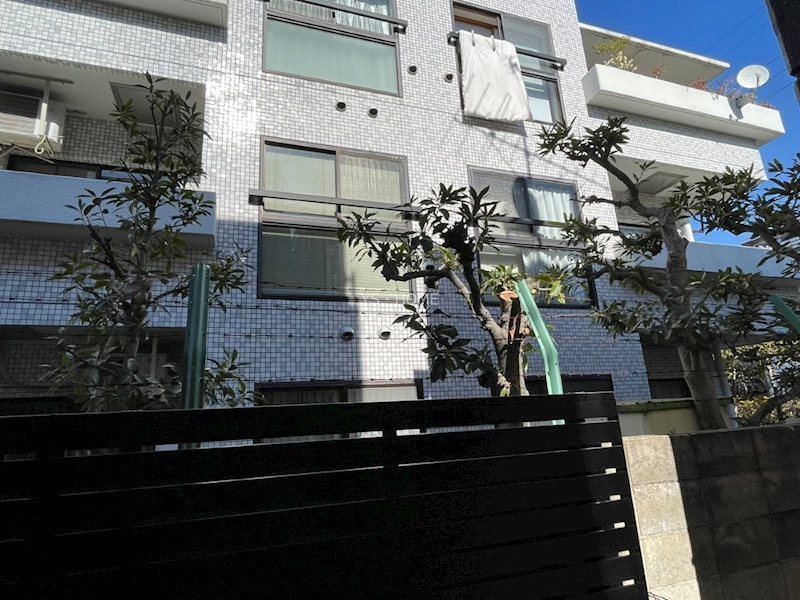 ステラ下連雀  その他6