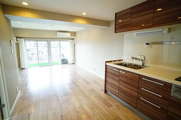 ヴィレッタ菊 その他4