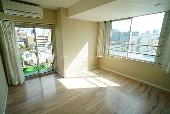 ヴィレッタ菊 その他5