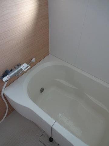 カミレ その他17