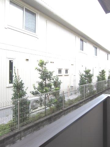 マグノリア その他5