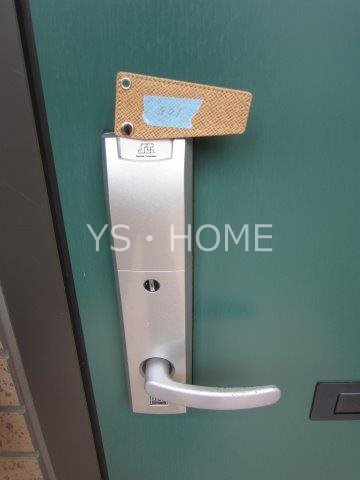 マグノリア その他13