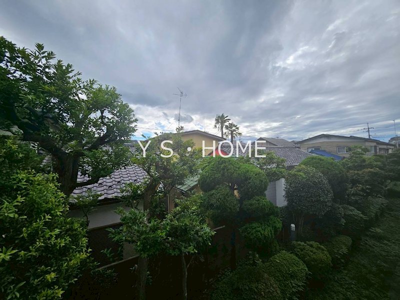 LANAI GRACE KUNITACHI  その他7