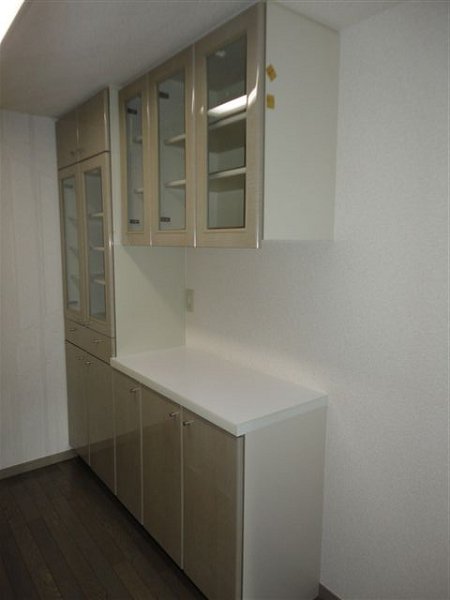 LANAI GRACE KUNITACHI  その他4