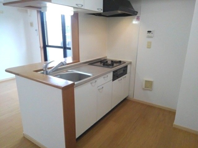 フォレスト光  キッチン