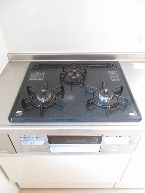 パインクレストハウスⅡ その他10