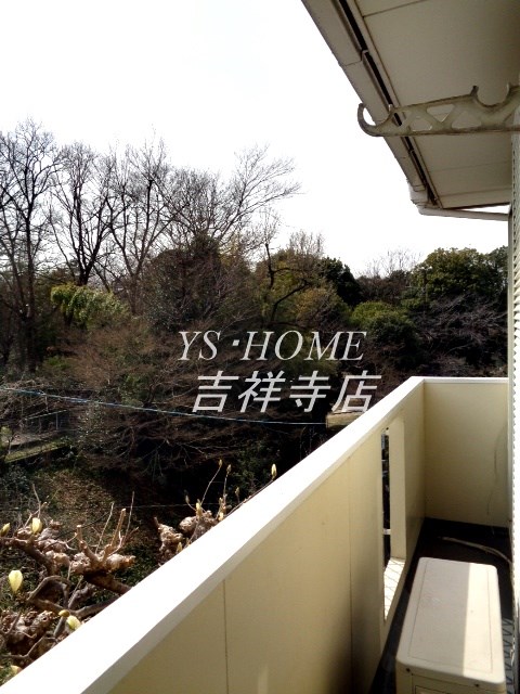 レイクサイド善福寺  その他8