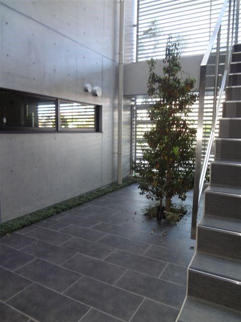 上水南アパートメント その他外観2