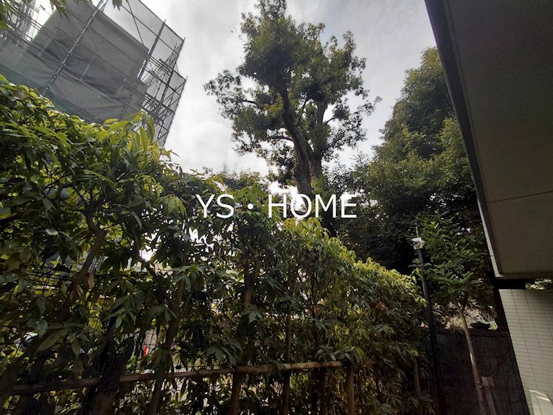 フレンシア高円寺 その他6