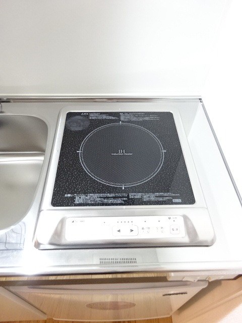 ピノルーチェ その他12