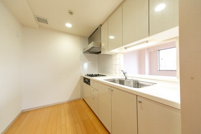 ガーデンコートT  キッチン